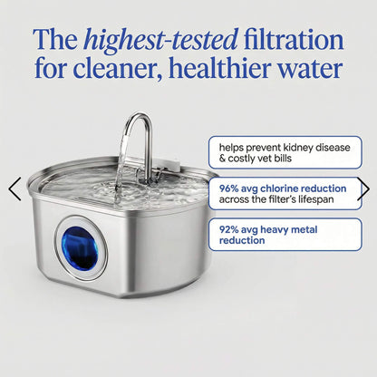 meowsip Stainless Steel Water Fountain